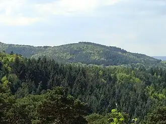 Blick von Hahnenschritt zum Rotsohlberg