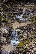 Sinterterrassen im Auslauf