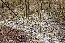 Auslauf der Rinne
