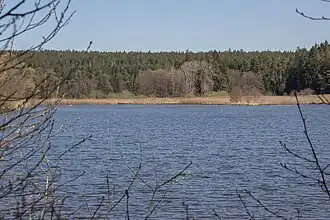 Oberer Kammerweiher