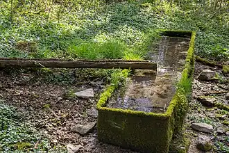 Die Zankelquelle