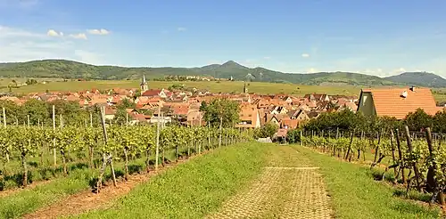 Blick vom Mandelberg auf Beblenheim