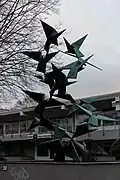 Auffliegender Vogelschwarm, Bonn