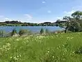 Schalkenmehren