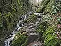 Felsenweg mit Seilsicherung im Mittelteil