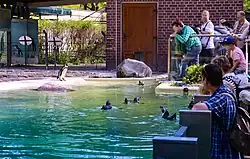 Pinguinanlage