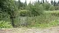 !548.1342895511.9681425Weiher bei der Schauschütt Hohenlinden48.13428888888911.968141666667