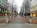 Allee Bepflanzung