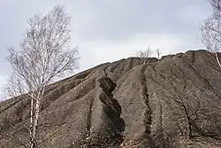 Südflanke der Bergehalde Grühlingstraße