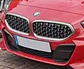 Niere mit Gitterstruktur, BMW Z4 ab 2018