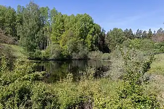 Der Hasensee