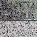 Blauer Granit von der Kösseine roh und poliert