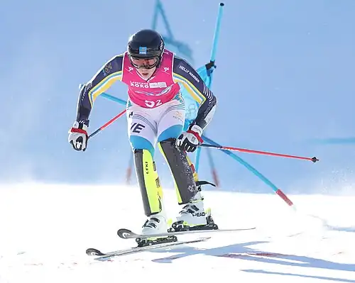 Adam Hofstedt