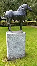 Paard