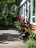 Botanischer Garten, Pflanzenschauhaus.
