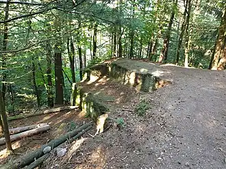 Krummholzer Stuhl