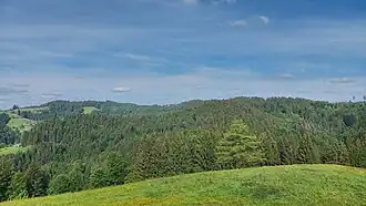 Blick vom Steineberg zum Änger, der sich in der Bildmitte nur schwach abzeichnet.
