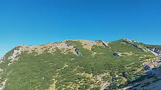 Gipfelbereich des Vaganski vrh