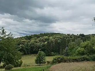 Heidelberg – Blick von der Kropsburg
