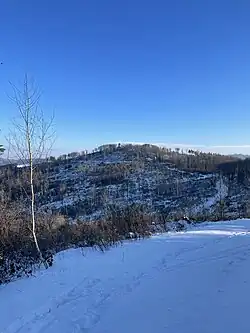 Ansicht aus Nordwesten vom Adlerberg