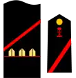 Insignia de Soldado