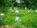 Eichenthaler Friedhof 2009