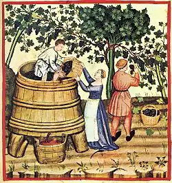 Rotweinherstellung im 14.&nbsp;Jahr­hundert (Tacuinum sanitatis, Bibliothèque nationale de France)