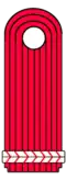 Schulterstück Feuerwehrmann Sachsen-Anhalt