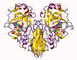 Sulfitoxidase
