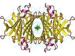 Transthyretin