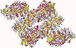 Pullulanase (Klebsiella pneumoniae)