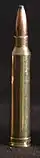 .300 Winchester Magnum