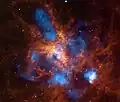Der Tarantelnebel in Infrarot (aufgenommen mit dem Spitzer-Weltraumteleskop), blau überlagert mit Aufnahmen des Chandra-Weltraumteleskops, welche die Röntgenstrahlung heißer Schockfronten zeigen.