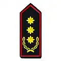 Landesbrandinspekteur/-in