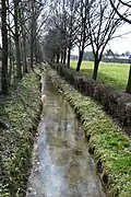 Niersverlauf im Bereich der Schwalmer Mühle