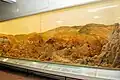 3D Salt Range-Diorama in der Tethys-Gallery des Pakistan Museum of Natural History