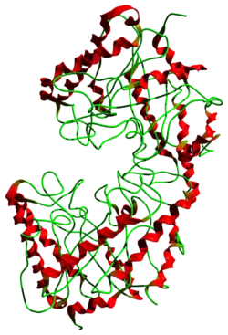 Cellulasen