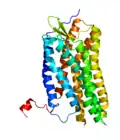 CXCR4