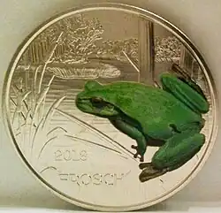 Frosch Bildseite