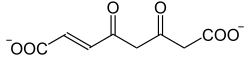 4-Fumarylacetoacetat