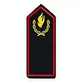 Beauftragte/-r für die Jugendfeuerwehr, Ebene Land