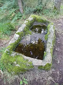 Steinkiste in der Nähe
