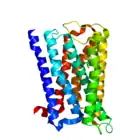M3-Acetylcholinrezeptor