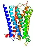 5-HT1D-Rezeptor