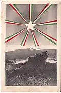 Stellone d’Italia