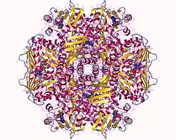 Methyltransferasen
