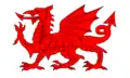 Roter Drache