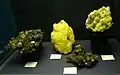 Vitrine mit Schwefelmineralien