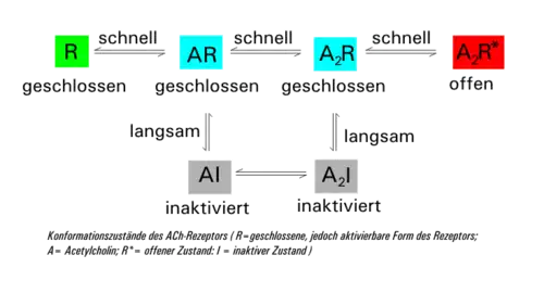 Schaltverhalten