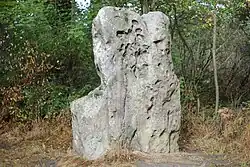 Pierre qui Tourne